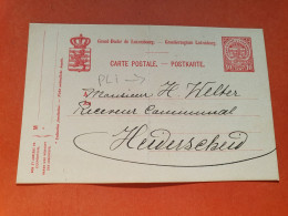 Luxembourg - Entier Postal Commercial ( Pli Central ) De Luxembourg Pour Un Maire En 1922 - Réf 2326 - Entiers Postaux