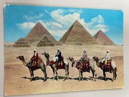 CPM - EGYPTE - GIZA - Camel Caravan Near GIZA Pyramids - Pyramides