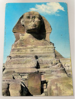 CPM - EGYPTE - GIZA - The Great Sphinx - Pyramiden