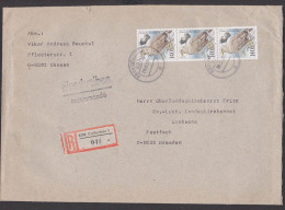 Seeadler Haliaeetus Albicilla 140 Pf Bundesrepublik Germany R-Brief Großenhain Im VGO 29.8.91 - Aigles & Rapaces Diurnes