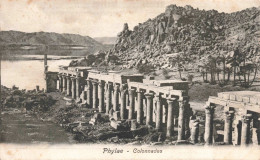 ARTS - Phylae - Colonnades - Carte Postale Ancienne - Paintings