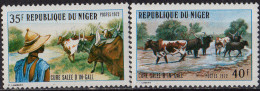 NIGER - Cure Salée D'In-Gall - Niger (1960-...)