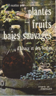 Livre - 450 Recettes Pour Plantes Et Baies Sauvages D'Alsace Et Des Vosges - Alsace