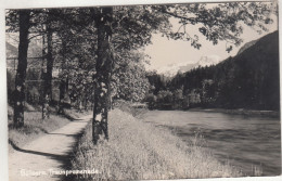 D4168) GOISERN - Traunpromenade - Sehr Schöne S/W AK - Bad Goisern