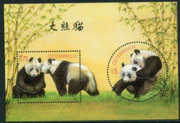 AUSTRIA 2003.Schönbrunn Zoo Pandas Block MNH / **.  Michel Block 18 - Ongebruikt