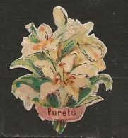 Découpis Fleursr Pureté Année 1899 A 1900 - Enfants