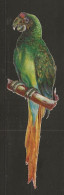 Découpis Perroquet Année 1900 - Animals