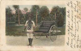 SOUTH AFRICA RSA - A TYPICAL RICKSHA BOY - 1903 - Afrique