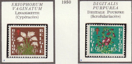 BELGIQUE - Fleurs, Flowers, Gentiane, Linaigrette, Digitale, Lavande De Mer - 1950 - MH Et Oblitéré - Other & Unclassified