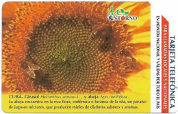 Cuba - Etecsa (Urmet) - Sunflower Girasol Helianthus, 01.2003, 5$P, 75.000ex, Used - Cuba