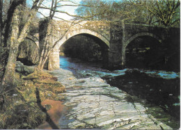 NEW BRIDGE OVER THE RIVER DART, DARTMOOR, DEVON, ENGLAND. UNUSED POSTCARD   Zf1 - Dartmoor