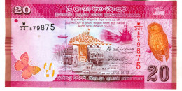 20 Roupies Neuf 3 Euros - Sri Lanka