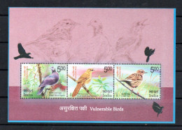 INDE - INDIA - B/F - M/S - 2017 - VULNERABLE BIRDS - OISEAUX VULNERABLES - OISEAUX - BIRDS - - Blocks & Kleinbögen