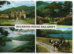 MUCKROSS HOUSE - KILLARNEY - COUNTY KERRY - MODERN POSTCARD IN GOOD CONDITION - Kerry