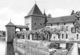 Château De Rolle    (10x15cm) - Rolle