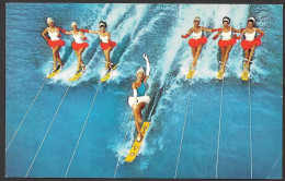 Tampa  Florida - Water Ski Ballet At Cypress Gardens - Uncirculated - Non Circulée - By Cypress Gardens - No: CG.18 - Tampa