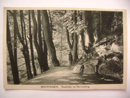 Germany: Meiningen - Nadelöhr Im Herrenberg - Verlag L. Otto Weber, Hofphotograph - Meiningen