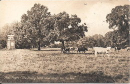 Stoke Poges..................... - Buckinghamshire