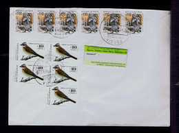 Sp9942 CHILE Birds Faune Animals Oiseaux CHINCOL 5x /mythology Mailed 6x Mailed Melle - Mythology