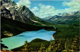 Canada Peyto Lake In The Canadian Rockies 1960 - Banff