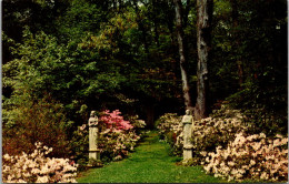 Delaware Winterthur The Winterthur Gardens Of Mr And Mrs Henry Francis Du Pont Martha & George Washington Statues - Sonstige & Ohne Zuordnung