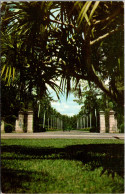 Florida Miami Hialeah Race Course Entrance To Club House - Miami