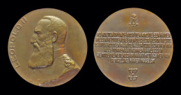 Belgium Rotsaert Octaaf Copper Medaille Bust Of Leopold II To Left - Monarchia / Nobiltà