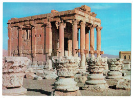 Syrie - Syria - Palmyre - Temple De Baal-Shamin (Cella) - Palmyra - Temple Of Baal-Shamin (Cella) - Syrie