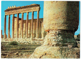 Syrie - Syria - Palmyre - Temple De Bêl (détail) - Palmyra - Temple Of Bel (detail) - Syrie