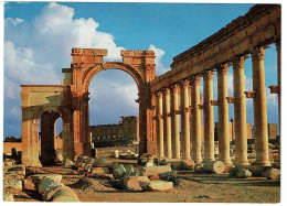 Syrie - Syria - Palmyre - Grande Colonnade - Palmyra - Great Colonnade - Syrie