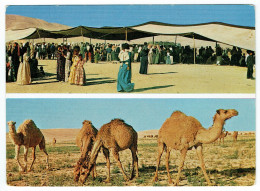 Syrie - Syria - Le Désert - Les Préparatifs De La Noce Et Les Chameaux - Desert - Before A Wedding And Camels Grazing - Syrie