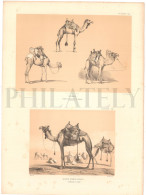 1837, LABORDE: "VOYAGE DE LA SYRIE" LITOGRAPH PLATE #49. ARCHAEOLOGY / MIDDLE EAST / SYRIA / DAMASCUS / GHAWR / CAMELS - Archeologia