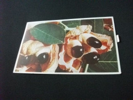 STORIA POSTALE  FRANCOBOLLO COMMEMORATIVO JAMAICA ACKEE PODS NATIVE FRUIT OF JAMAICA B.W.I. POSTA AEREA - Jamaïque