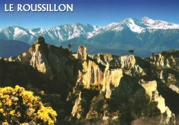 ROUSSILLON, FLOWERS, MOUNTAINS, ILLE-SUR-TÊT, FRANCE - Roussillon