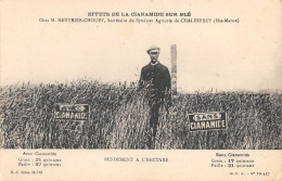 CPA 52 CHEZ M.METTRIER CHOUET / SECRETAIRE DU SYNDICAT AGRICOLE DE CHALINDREY - Sonstige & Ohne Zuordnung