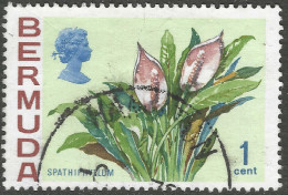 Bermuda. 1970 Flowers, 1c Used. SG 249 - Bermuda