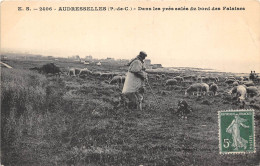 62-AUDRESSELLES- DANS LES PRES DU BORD DES FALAISES - Autres & Non Classés