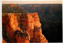 USA Grand Canyon National Park AZ - Gran Cañon