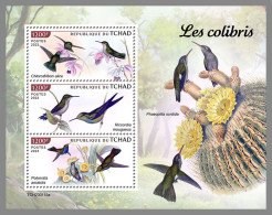 CHAD 2023 MNH Hummingbirds Kolibris Colibris M/S - OFFICIAL ISSUE - DHQ2336 - Hummingbirds