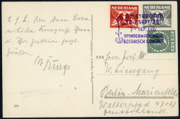 1935, Niederlande, 146 U. A., Brief - Sonstige & Ohne Zuordnung