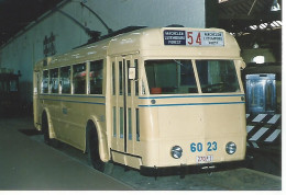Trolleybus Ligne Machelen Vorst ( Photo 15x10 - Bus & Autocars