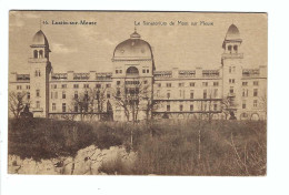 46. Lustin-sur-Meuse   Le Sanatorium  De Mont Sur Meuse - Profondeville