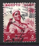 EGYPTE. N°368 Oblitéré De 1954-5. Feilah. - Oblitérés