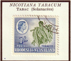 RHODESIE & NYASALAND - Tabac - 1963 - Oblitéré - Rodesia & Nyasaland (1954-1963)
