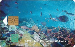 Saba (Antilles Netherlands) - Satel (Chip) - Marine Life, Gem1A Symmetr. Black, 10.1996, 60U, 2.000ex, Used - Antilles (Neérlandaises)