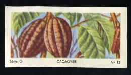 Jacques - Ca 1960 - Fruit - G12 - Cacaoyer - Jacques