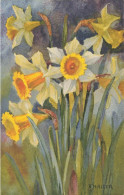 A .HALLER - Jonquilles - Haller, A.