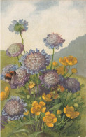 A .HALLER -   Bleuets Et Abeille - Boutons D'or - Haller, A.