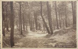 De Panne  Het Calmijnbos - De Panne