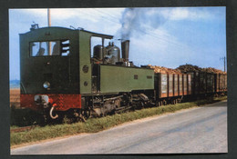 Carte-photo Moderne Tramway "Train De Betteraves Sur La Ligne Nangis - Jouy-le-Chatel - Années 60" - Strassenbahnen